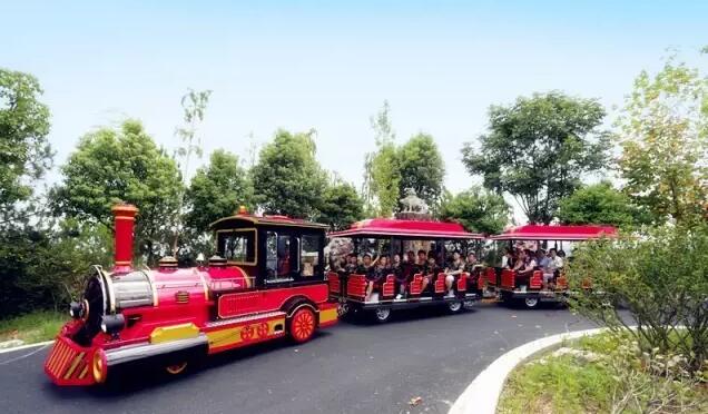 中南百草原的小火车 旅客乘坐小火车