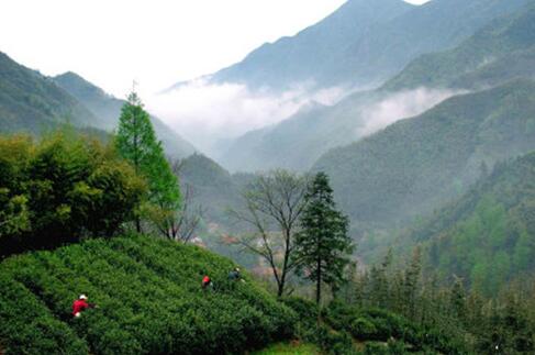 浙北第一高山村,记忆中 浙北第一高山村,记忆中