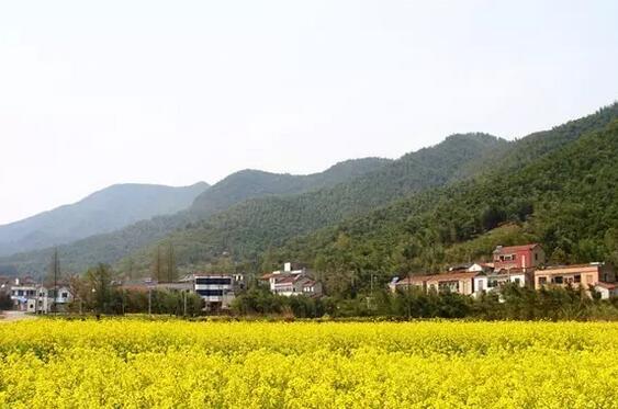 美丽乡村之安吉余村 安吉醉美乡村之余村村