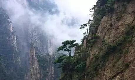 安吉看山水、看熊猫线路 山边风景