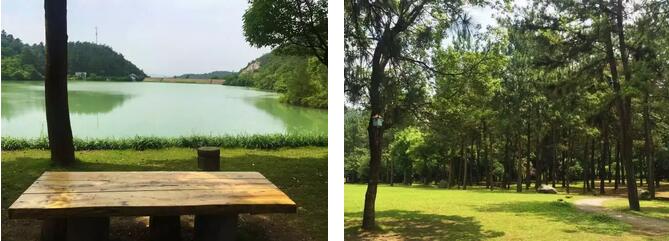 安吉,美得天真无邪,美 风景区