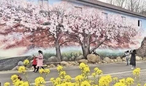 目莲坞自然村,带你体验 景色