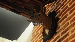 牛