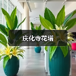 庆化寺花塔（图1）