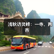 浅秋访灵峰：一寺、两杏（图3）