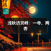 浅秋访灵峰：一寺、两杏（图4）