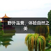 野外露营，体验自然之美（图4）