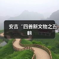 安吉“四普新文物之五鹤（图2）