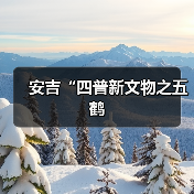 安吉“四普新文物之五鹤（图4）