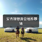 安吉理想露营地推荐：猪（图2）