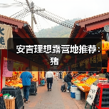 安吉理想露营地推荐：猪（图1）