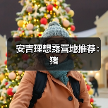 安吉理想露营地推荐：猪（图3）