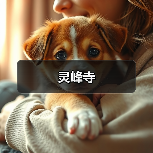 灵峰寺（图1）