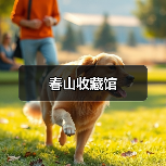 春山收藏馆（图4）