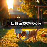 六里坪国家森林公园（图1）