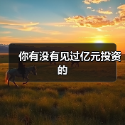 你有没有见过亿元投资的(图4) 你有没有见过亿元投资的(图4)