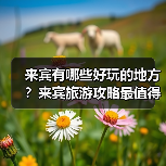 来宾有哪些好玩的地方？来宾旅游攻略最值得去的10个景点，你去过..（图4）