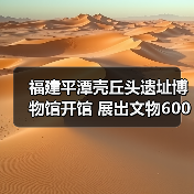 福建平潭壳丘头遗址博物馆开馆 展出文物600多件（图4）