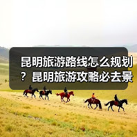 昆明旅游路线怎么规划?昆明旅游攻略必去景点打卡榜..(图2) 昆明旅游路线怎么规划?昆明旅游攻略必去景点打卡榜..(图2)