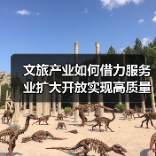 文旅产业如何借力服务业扩大开放实现高质量发展？（图3）