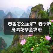 春困怎么缓解?春季养身喝花茶全攻略(图3) 春困怎么缓解?春季养身喝花茶全攻略(图3)