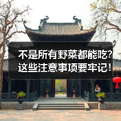 不是所有野菜都能吃?这些注意事项要牢记!(图2) 不是所有野菜都能吃?这些注意事项要牢记!(图2)