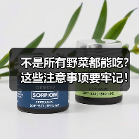 不是所有野菜都能吃?这些注意事项要牢记!(图3) 不是所有野菜都能吃?这些注意事项要牢记!(图3)