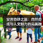 安吉奇妙之旅:自然奇观与人文魅力的完美融合(图1) 安吉奇妙之旅:自然奇观与人文魅力的完美融合(图1)