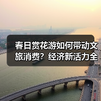 春日赏花游如何带动文旅消费？经济新活力全解析（图1）