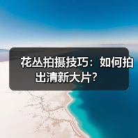 花丛拍摄技巧:如何拍出清新大片?(图1) 花丛拍摄技巧:如何拍出清新大片?(图1)