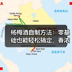 杨梅酒自制方法:零基础也能轻松搞定,香浓滋味自己酿(图4) 杨梅酒自制方法:零基础也能轻松搞定,香浓滋味自己酿(图4)