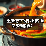 重庆低空飞行如何引爆文旅新消费?(图2) 重庆低空飞行如何引爆文旅新消费?(图2)