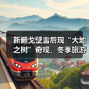新疆戈壁雪后现“大地之树”奇观,冬季旅游新热点竟藏在这?(图2) 新疆戈壁雪后现“大地之树”奇观,冬季旅游新热点竟藏在这?(图2)