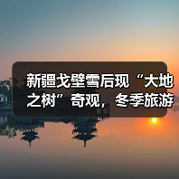 新疆戈壁雪后现“大地之树”奇观,冬季旅游新热点竟藏在这?(图4) 新疆戈壁雪后现“大地之树”奇观,冬季旅游新热点竟藏在这?(图4)