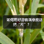 如何用好游客满意度这把“尺”?(图4) 如何用好游客满意度这把“尺”?(图4)
