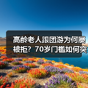 高龄老人跟团游为何屡被拒?70岁门槛如何突破?(图2) 高龄老人跟团游为何屡被拒?70岁门槛如何突破?(图2)