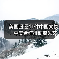 美国归还41件中国文物,中美合作推动流失文物回归(图3) 美国归还41件中国文物,中美合作推动流失文物回归(图3)