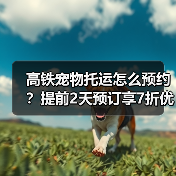 高铁宠物托运怎么预约?提前2天预订享7折优惠(图3) 高铁宠物托运怎么预约?提前2天预订享7折优惠(图3)