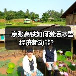 京张高铁如何激活冰雪经济新动能？（图3）