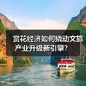 赏花经济如何撬动文旅产业升级新引擎？（图3）