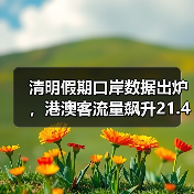清明假期口岸数据出炉，港澳客流量飙升21.4%（图1）