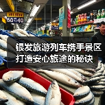 银发旅游列车携手景区打造安心旅途的秘诀(图4) 银发旅游列车携手景区打造安心旅途的秘诀(图4)