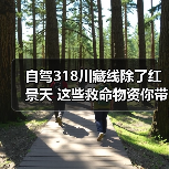 自驾318川藏线除了红景天 这些救命物资你带了吗（图3）