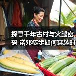 探寻千年古村与火腿密码 诺邓徒步如何穿越时光（图1）