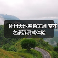 神州大地春色斑斓 赏花之旅沉浸式体验(图3) 神州大地春色斑斓 赏花之旅沉浸式体验(图3)