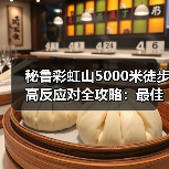 秘鲁彩虹山5000米徒步高反应对全攻略：最佳拍摄点与实用技巧（图3）