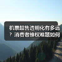 机票超售透明化有多远?消费者维权难题如何解?(图1) 机票超售透明化有多远?消费者维权难题如何解?(图1)
