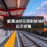 婺源油菜花摄影秘境机位全攻略(图2) 婺源油菜花摄影秘境机位全攻略(图2)