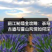 丽江秘境全攻略:茶马古道与雪山风情如何深度体验?(图1) 丽江秘境全攻略:茶马古道与雪山风情如何深度体验?(图1)