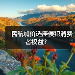 民航加价选座侵犯消费者权益?(图1) 民航加价选座侵犯消费者权益?(图1)